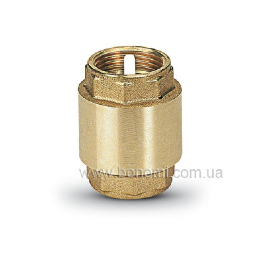 BONOMI Обратный клапан 2'' 10100013